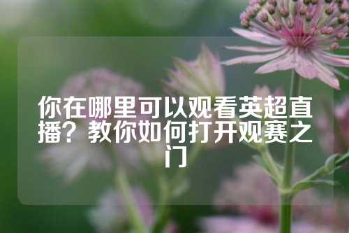 你在哪里可以观看英超直播？教你如何打开观赛之门