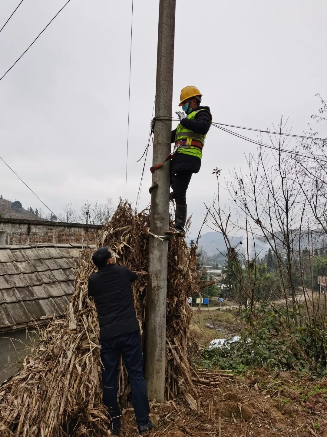 视频免费下载安装咪咕视频软件_视频免费下载安装咪咕影视_咪咕视频下载免费安装