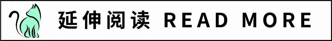 英超直播2024开幕时间_英超直播 2021_英超直播2024版权